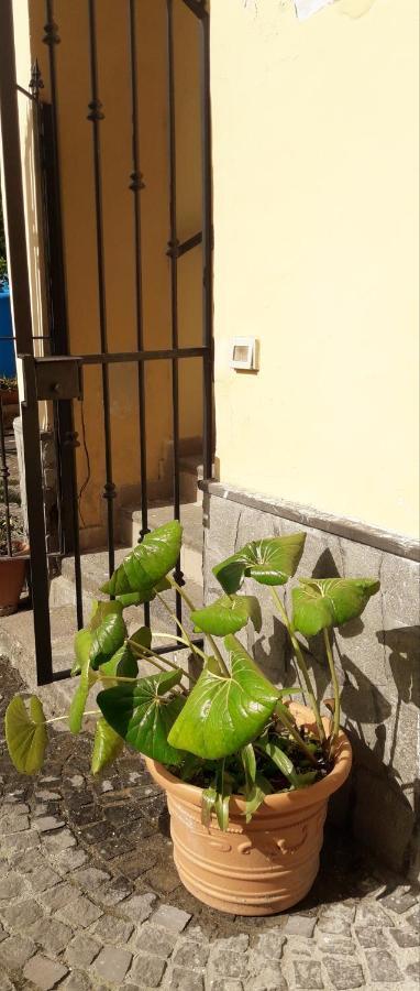Pompei Vesevus Apartament Boscotrecase Exterior foto